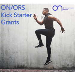 ORS Kick Starter.png